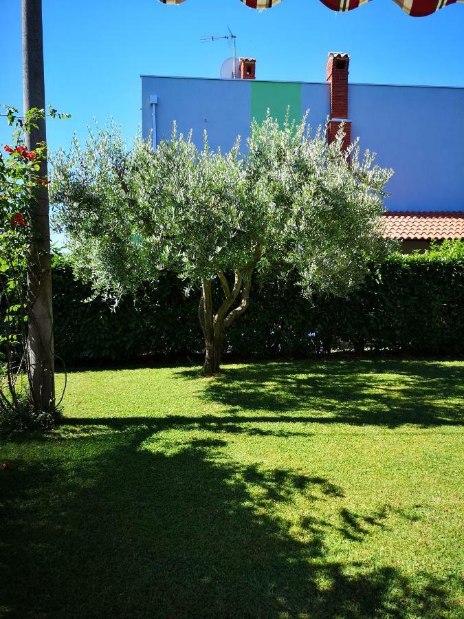 Apartman Olga Umag Eksteriør billede