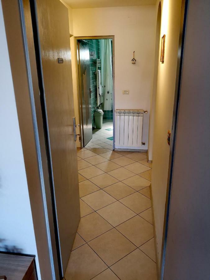 Apartman Olga Umag Eksteriør billede